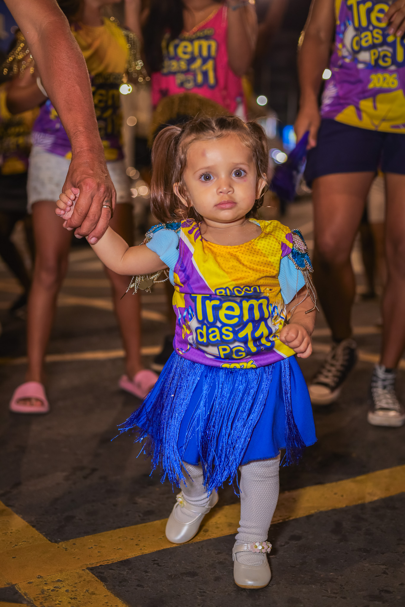 Registro do Carnaval de Ponta Grossa - Foto 59